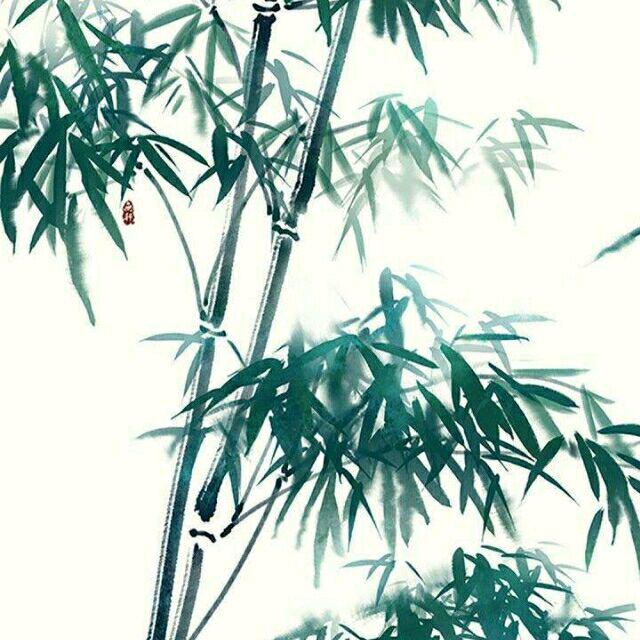 顾墨鸿