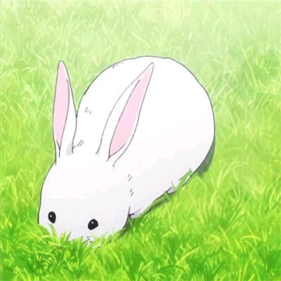 开芬