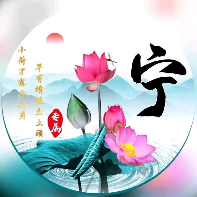 宁先生(百药园)