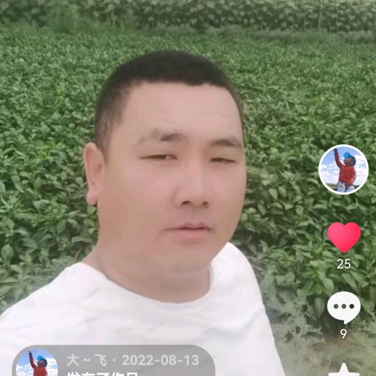 大～飞