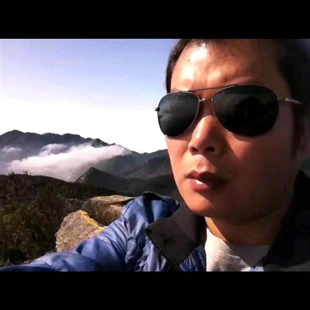 铁树临风