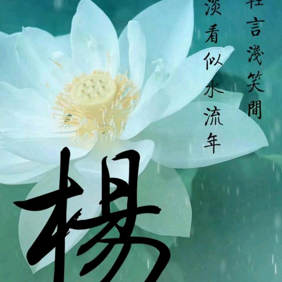大地头杨大军