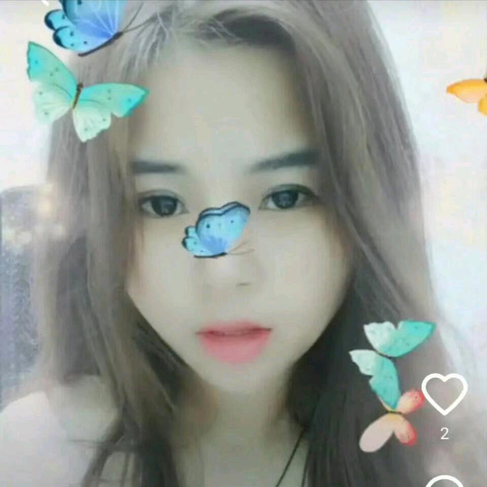 西北狼84360