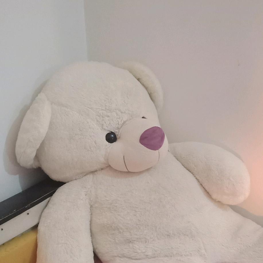 我就是我别骗我