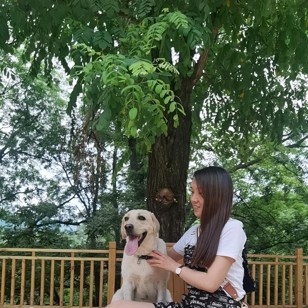 奥迪是只拉拉