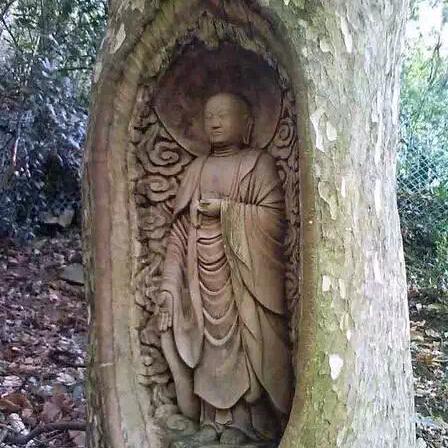 成哥