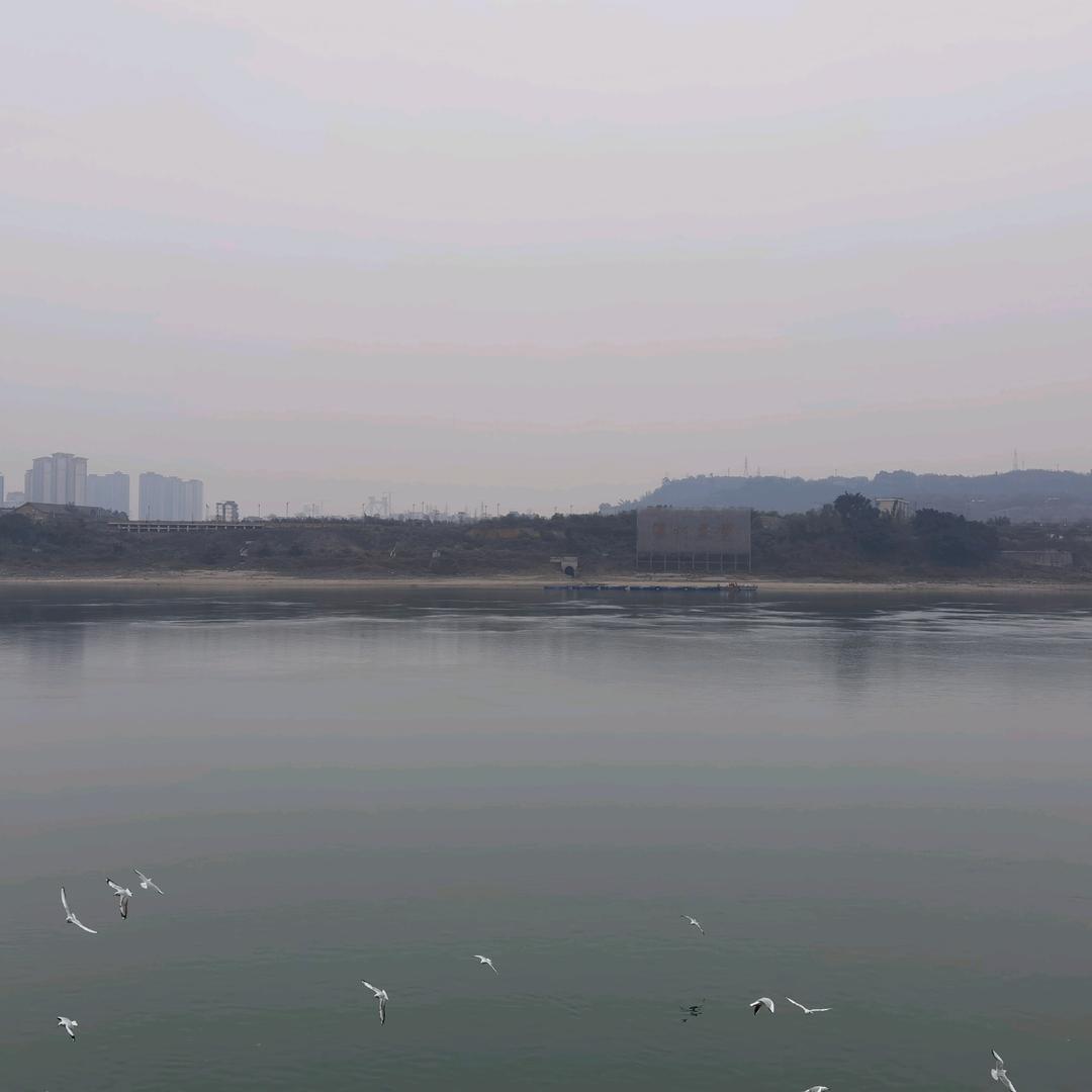 随心&从心