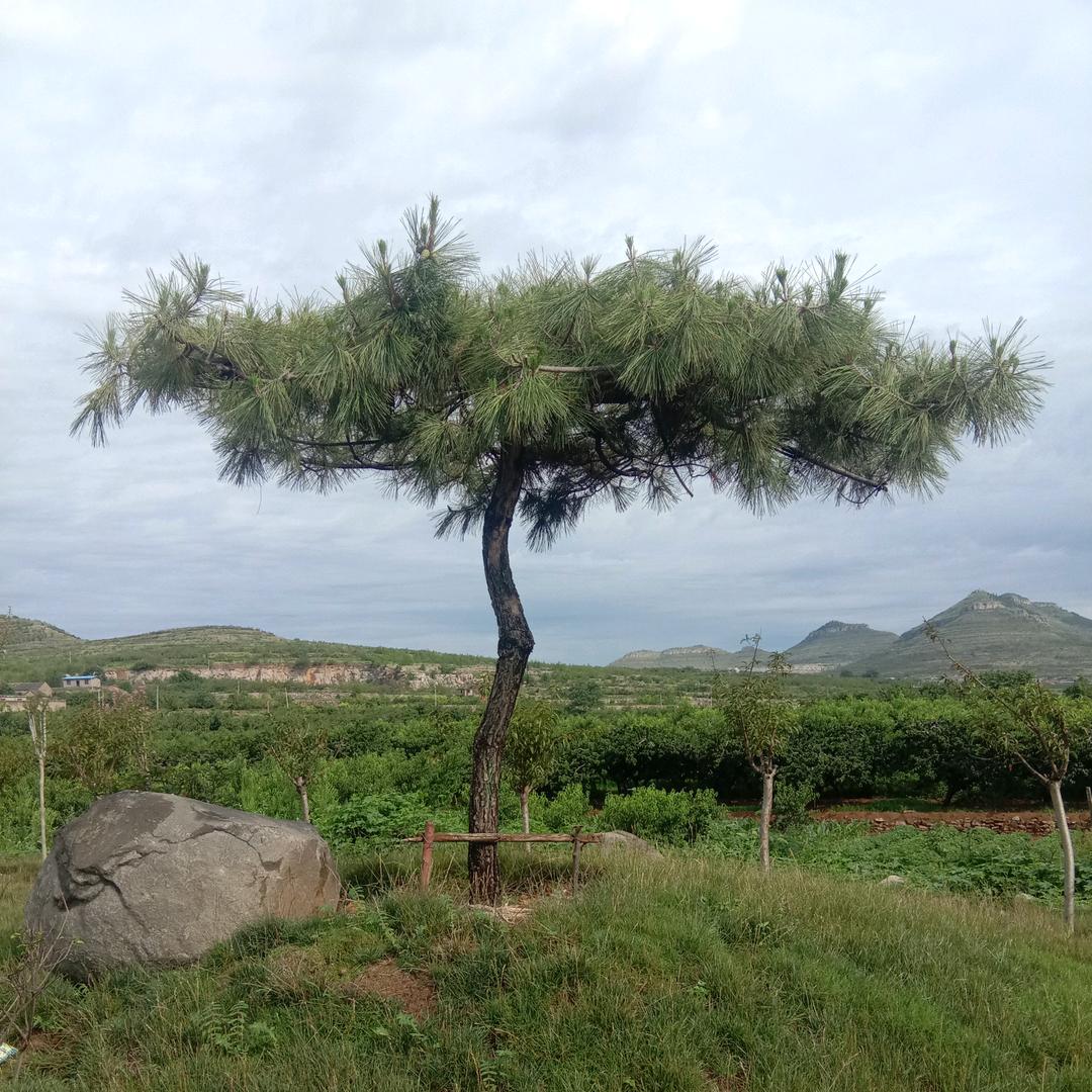 老兵外墙装饰滕州，山亭，枣庄