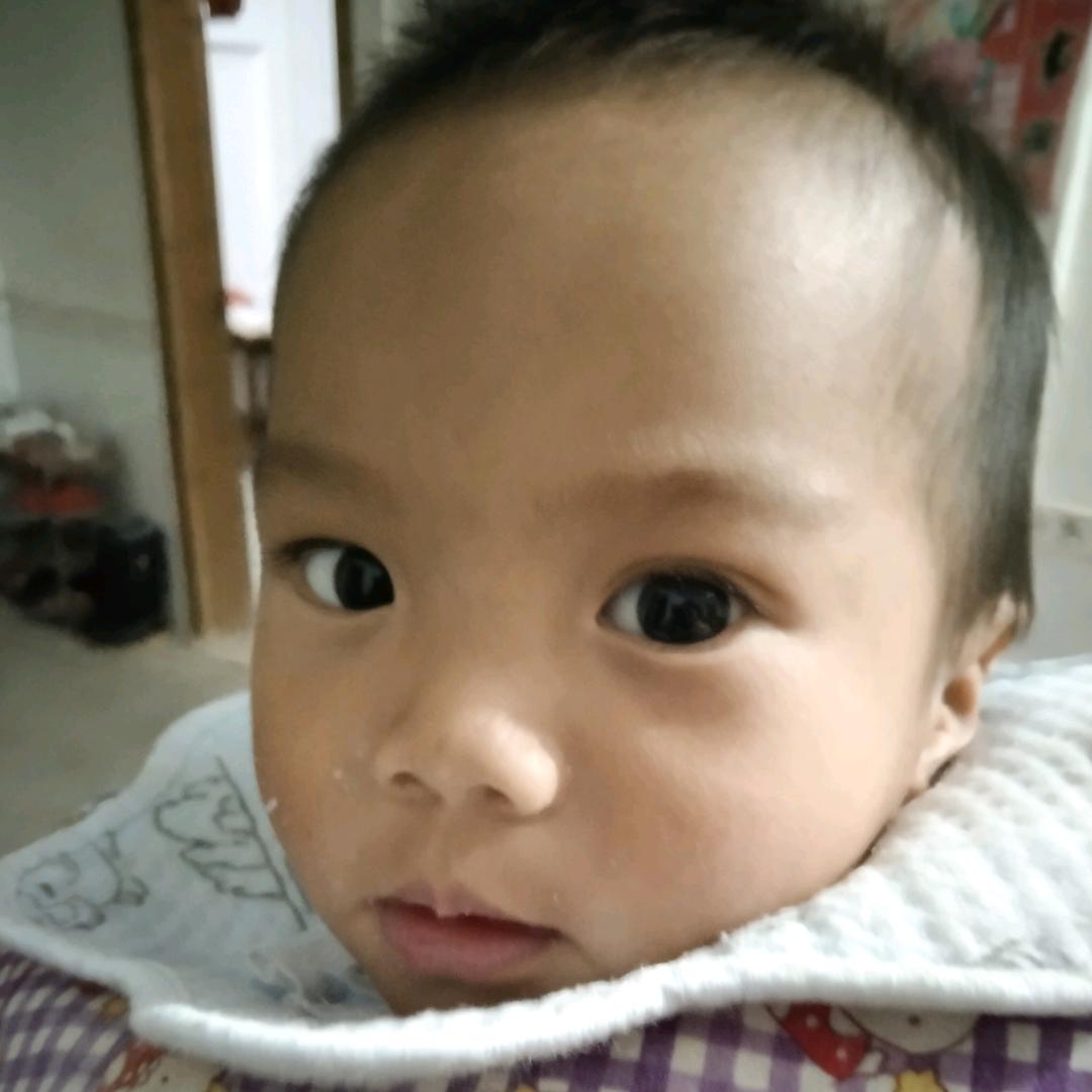 杨金秀