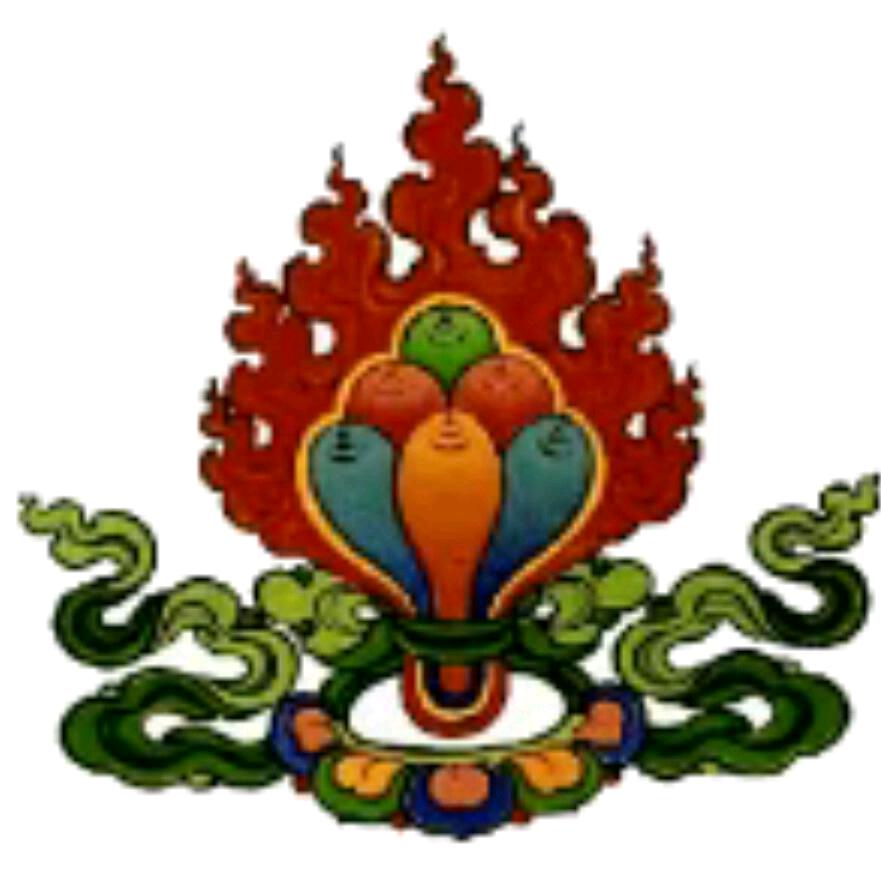大雄