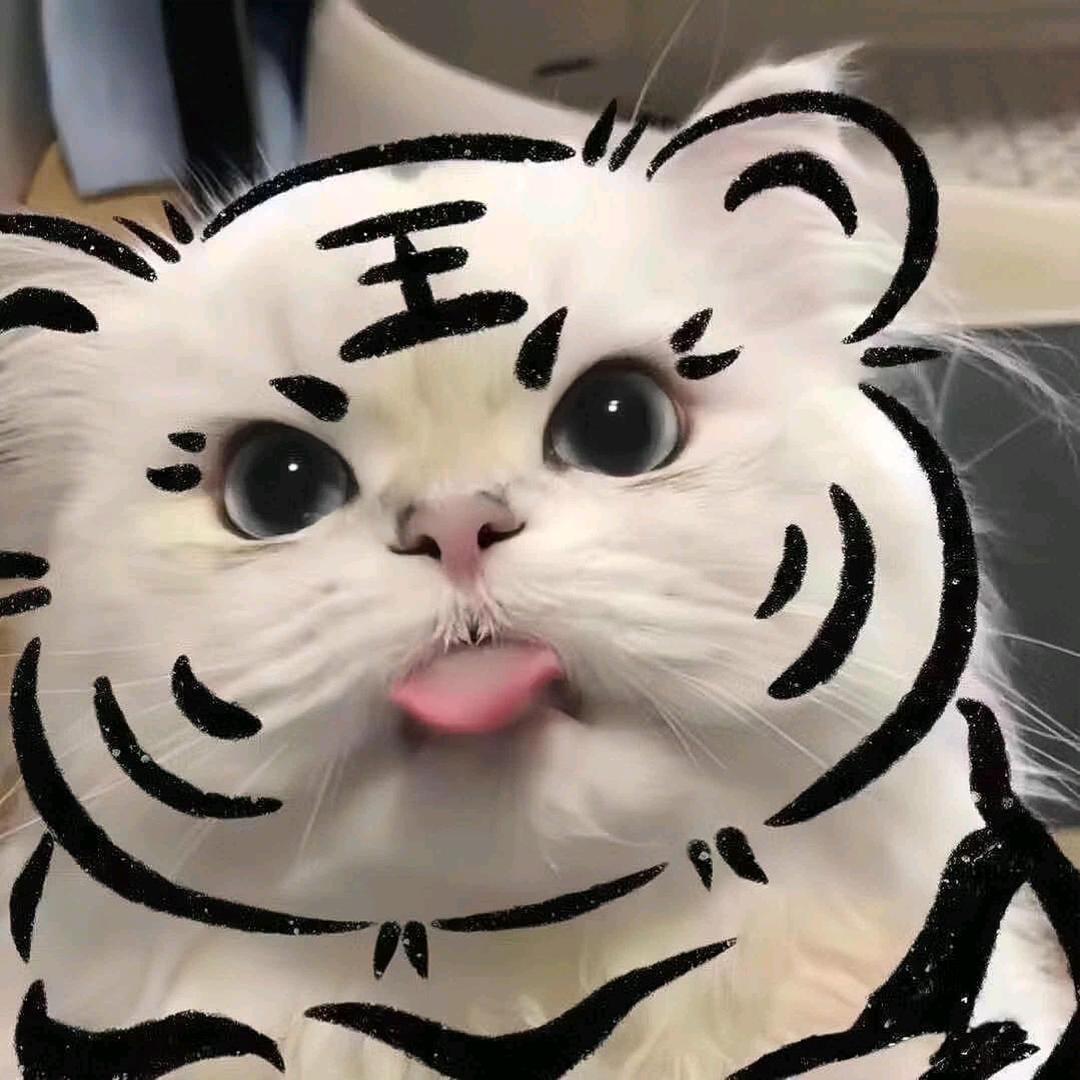 鱼鱼.