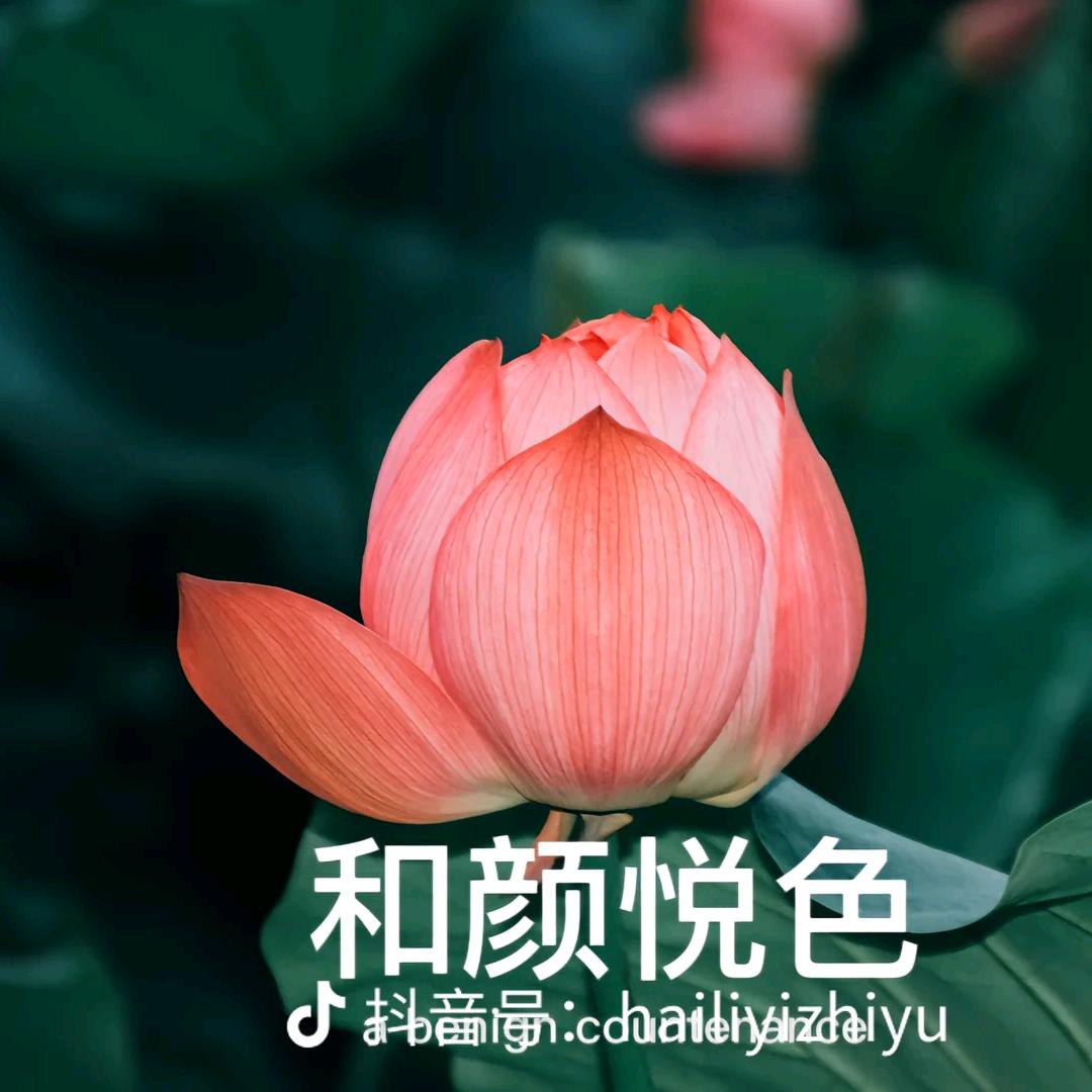 蒋姐