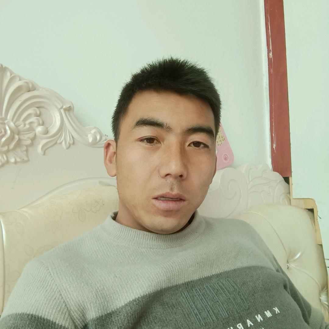 专业加工当归饮片