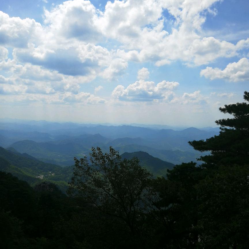 年年有余
