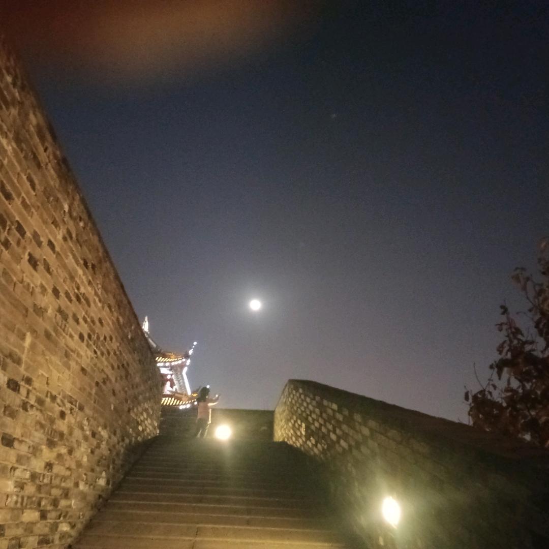 咪