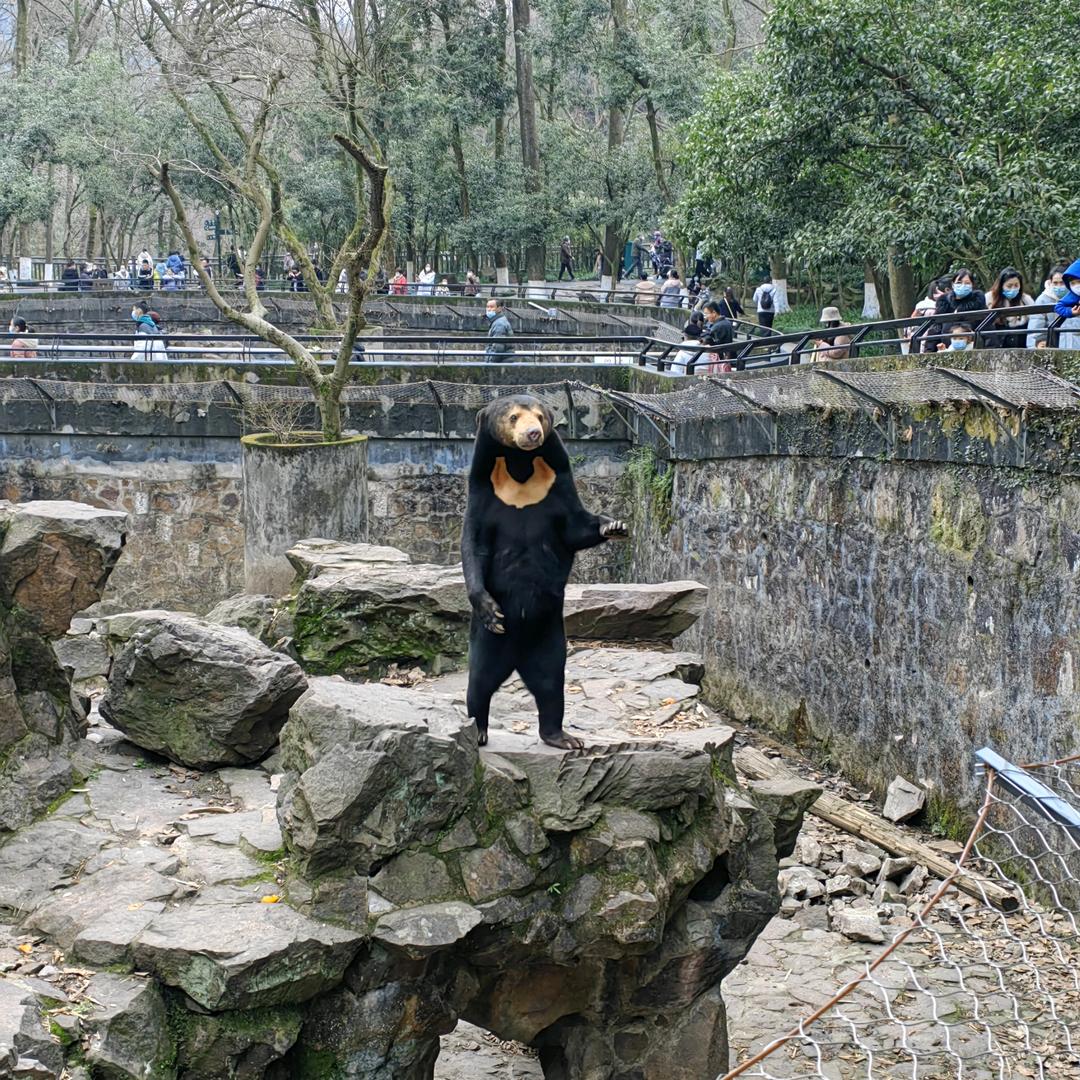 ༄༅༃于公྅搬砖ༀ☞