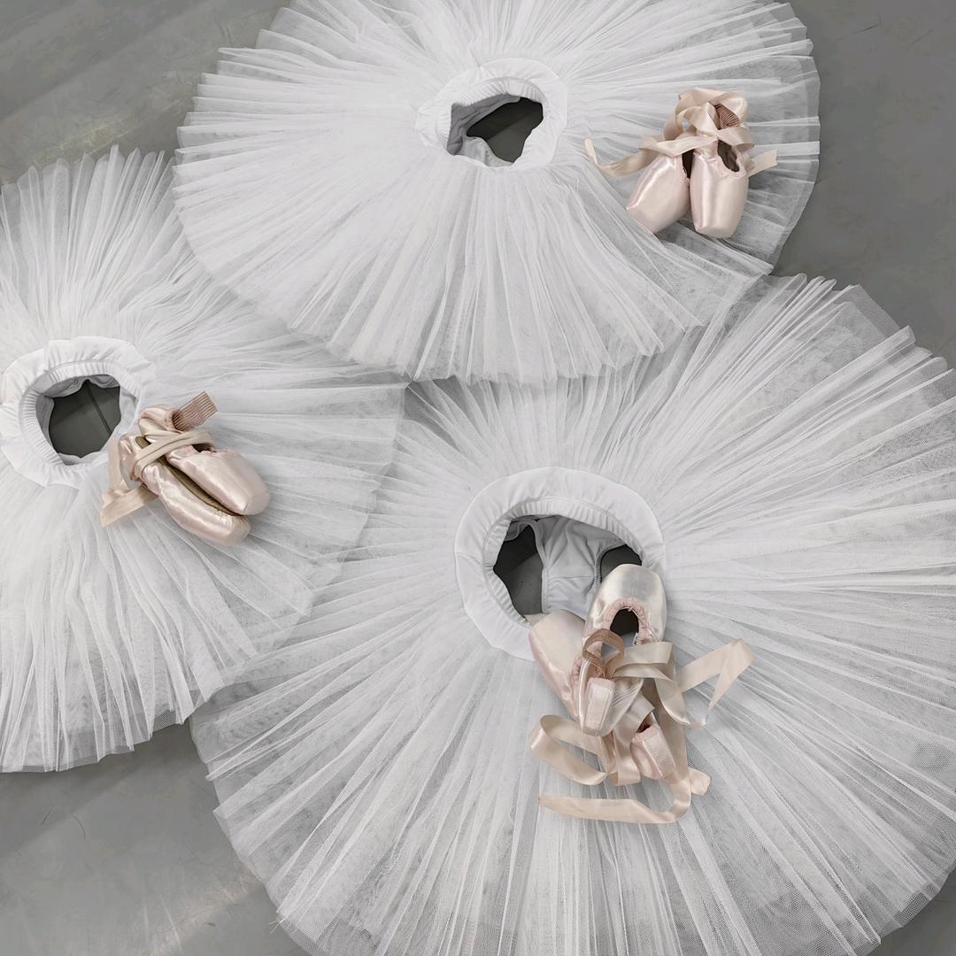 Lu‘s Ballet