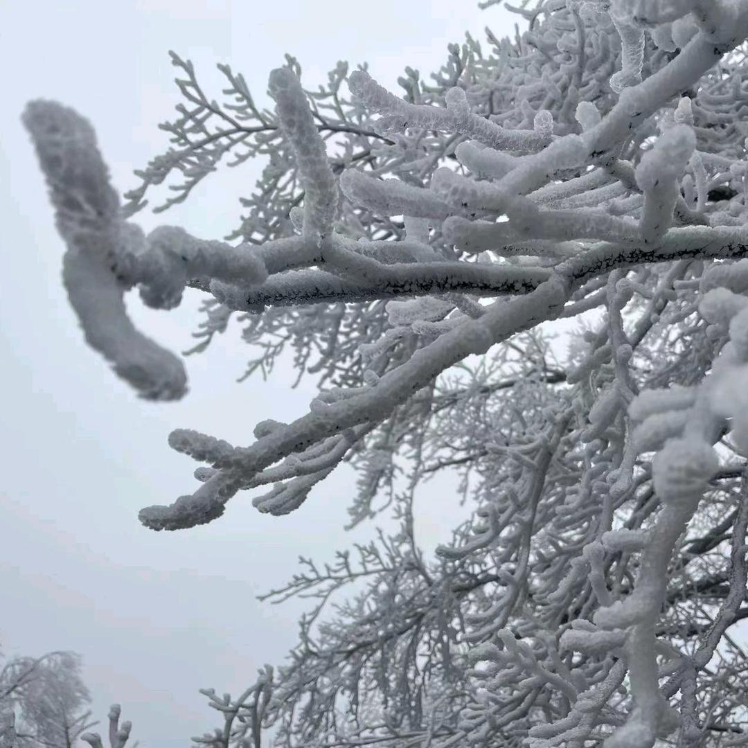 水善坊养生官方号