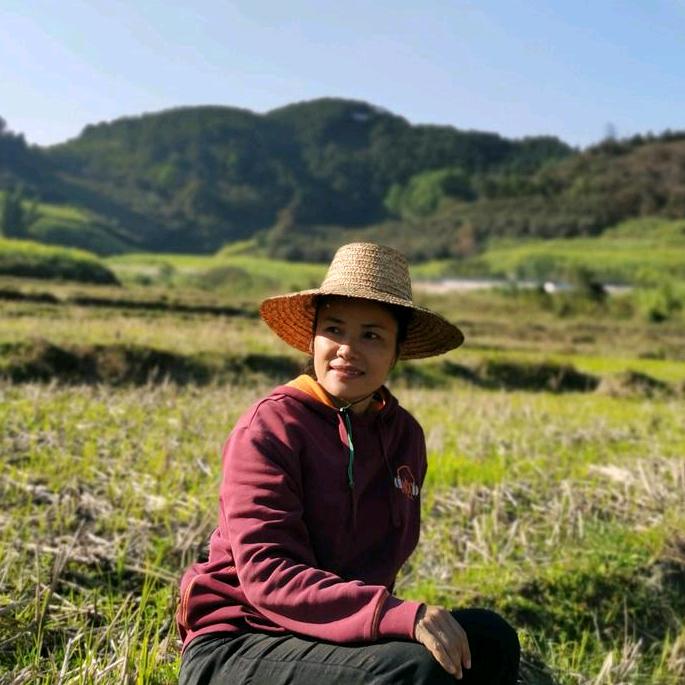 四小姐树叶护发(凤岭山语城24栋A一楼