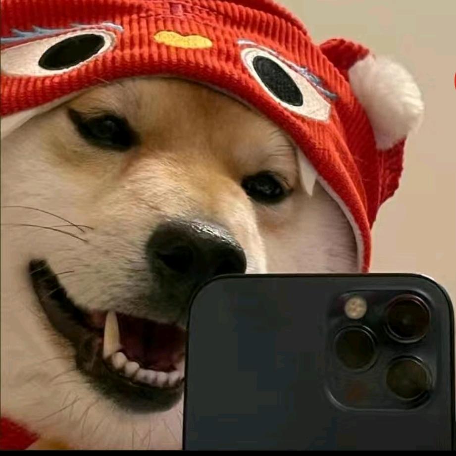 也许丶某天