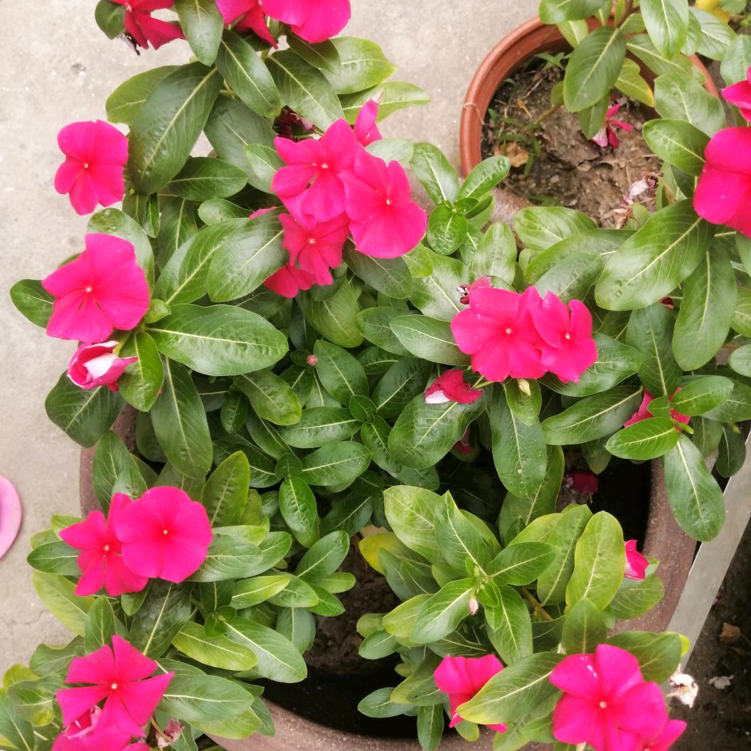 用户2693712845404明天会更好