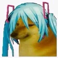 初女士