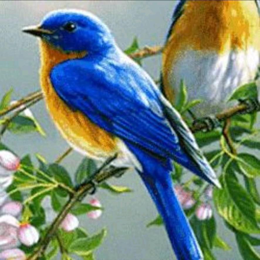 用户87259853837821