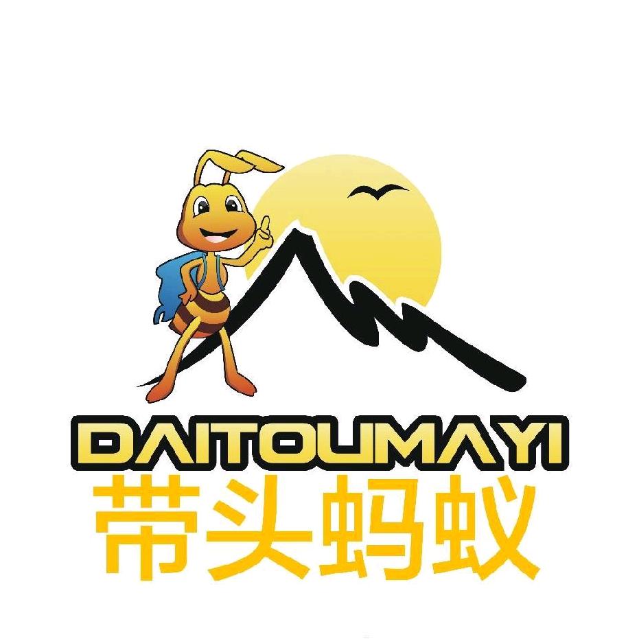 带头蚂蚁