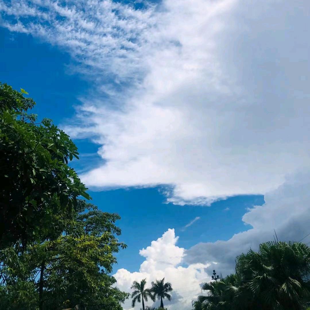 睁眼看世界