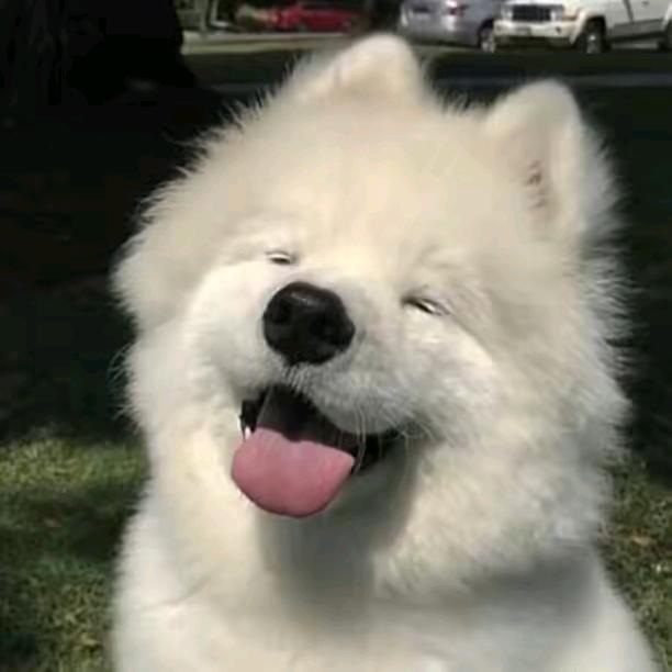 色调