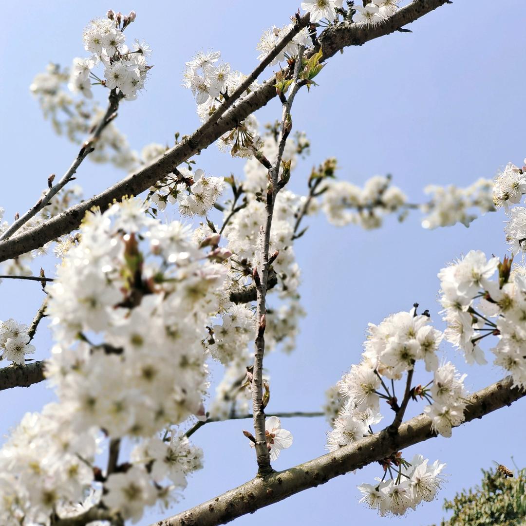 💕一切：@与༊我ღ᭄无缘꧔