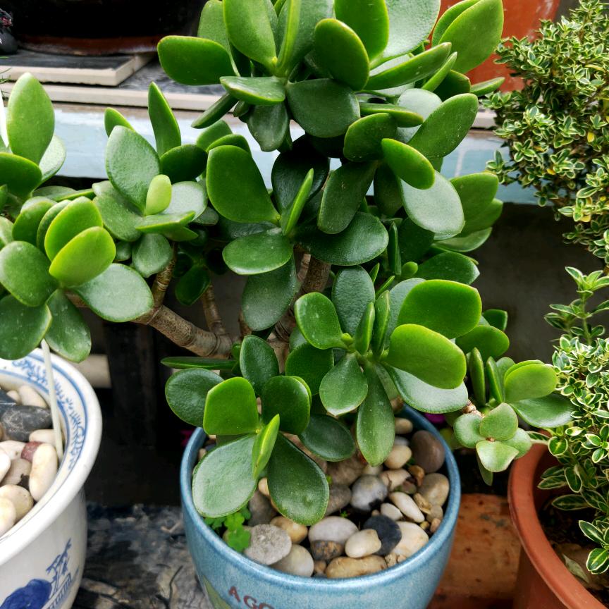 雨中漫步，，