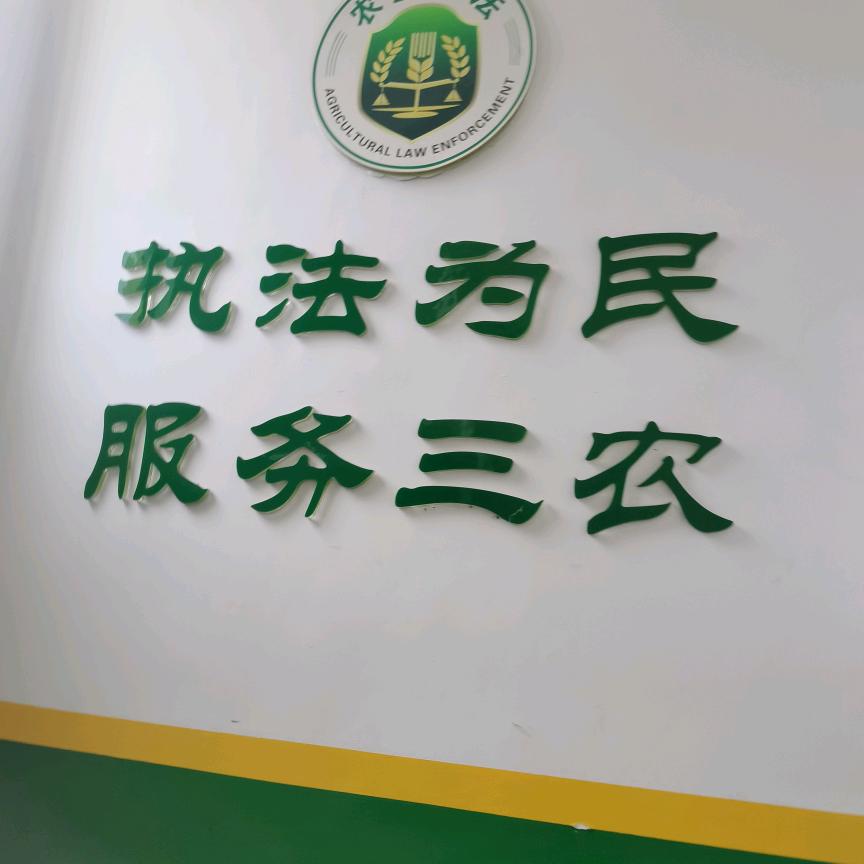 飞翔