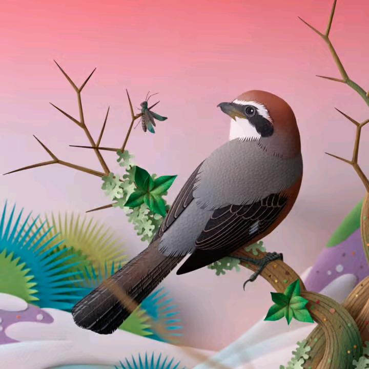 淡淡的回忆，不要连点赞