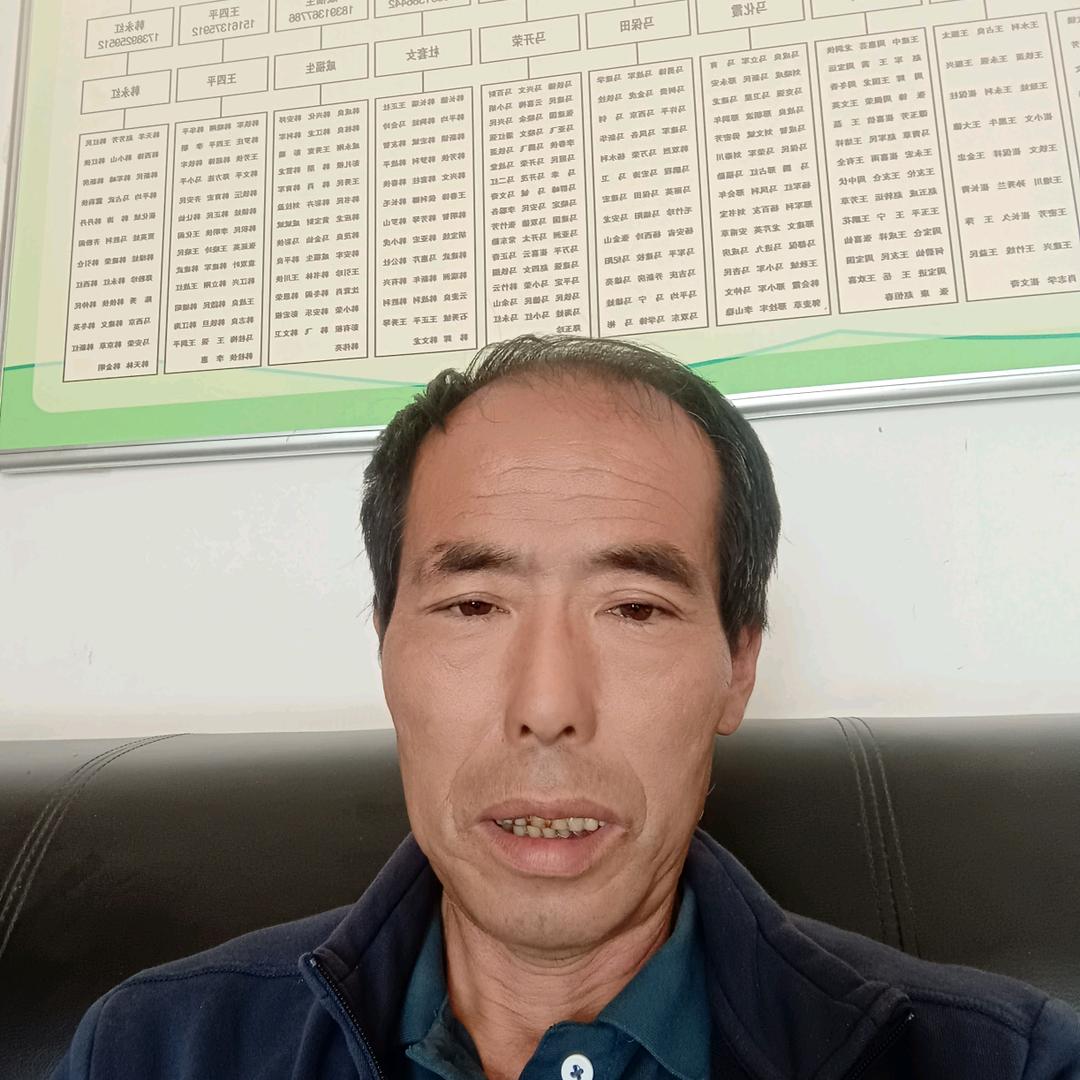 诚实的我