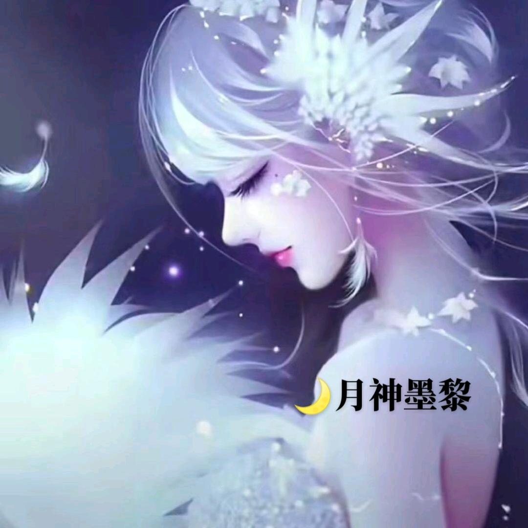 🌙月神墨黎