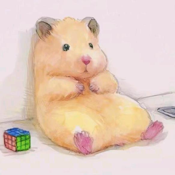 小皓爱游