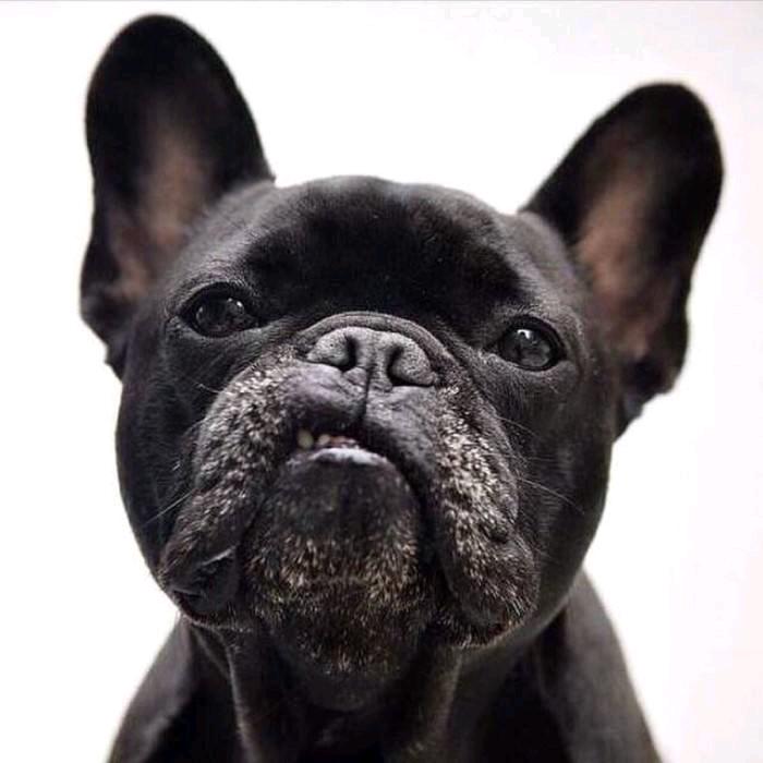 默C（橱窗里有好物）