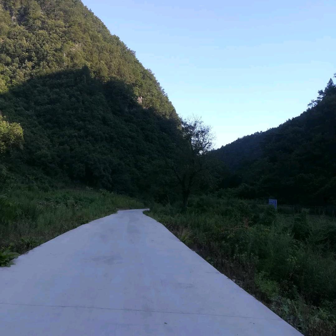 明日复明日！