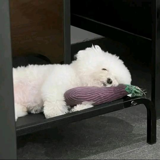 歌词被记录