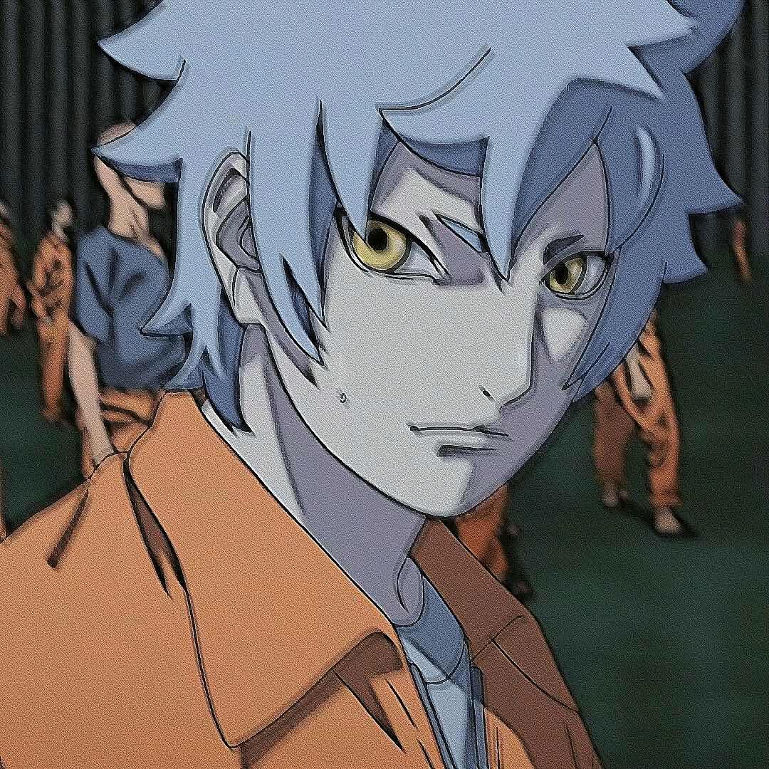 棉花一号