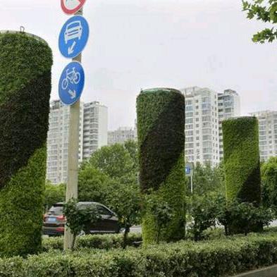 清香魅力