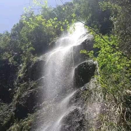 晟丰竹制品厂郭艳