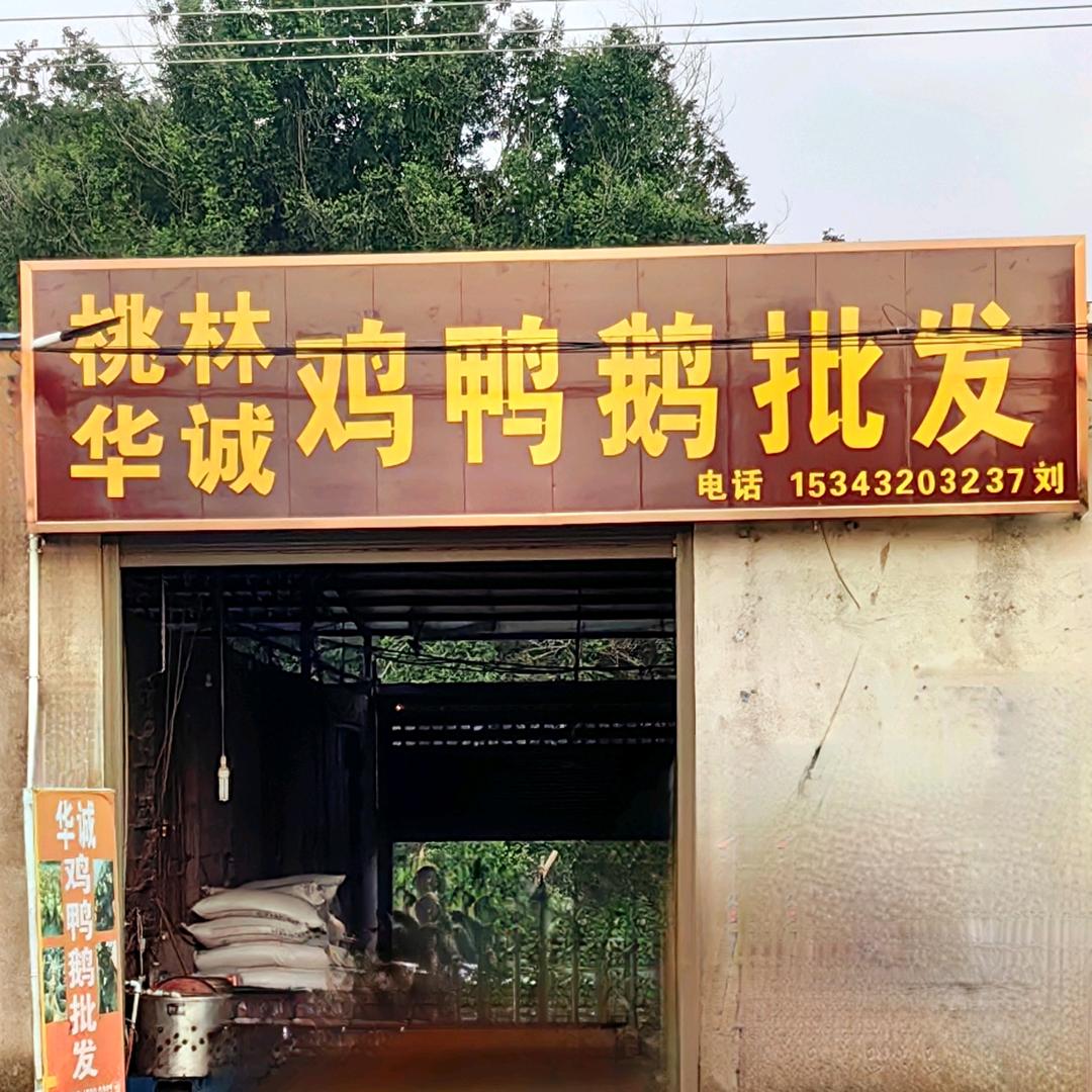 临湘市桃林镇华诚鸡鸭鹅批发市场