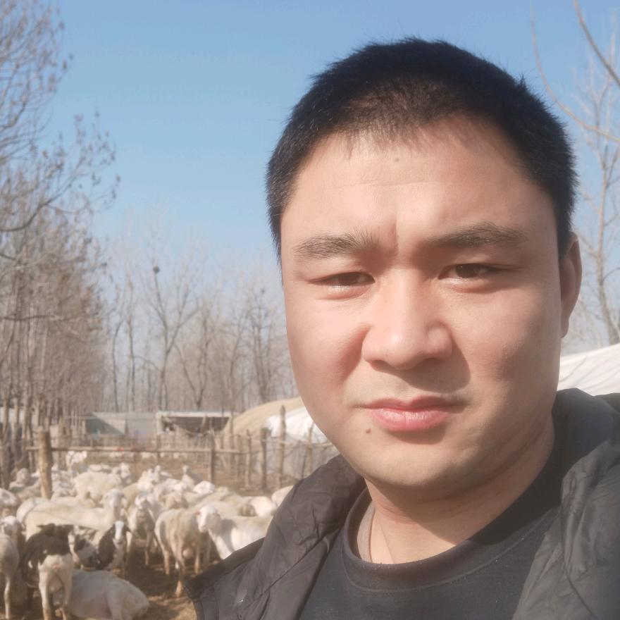 小辉羊圈