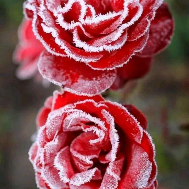 麦麦提图尔荪伊敏