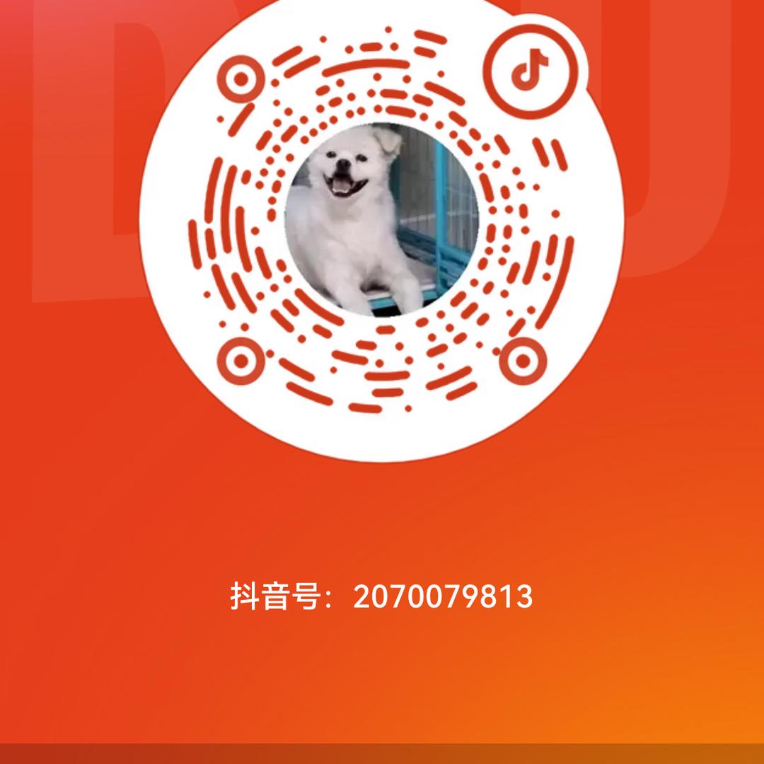 酥羊面馆  陈立