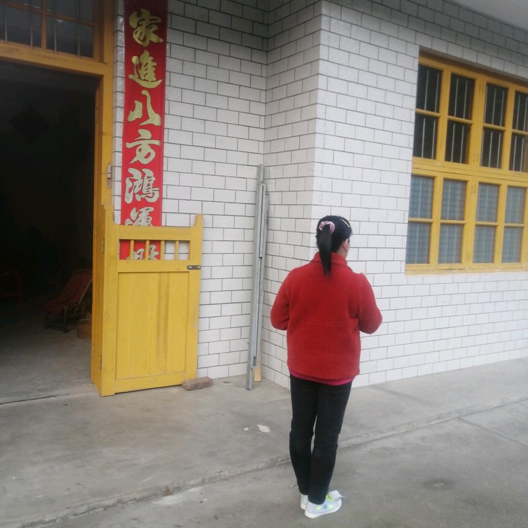 牡丹花