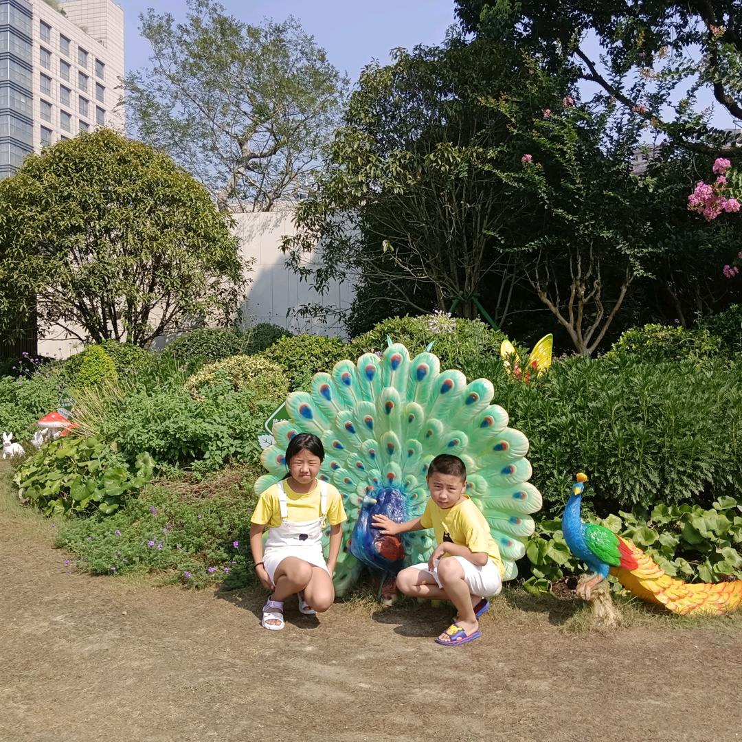 东塍镇珣珠村刘富果业