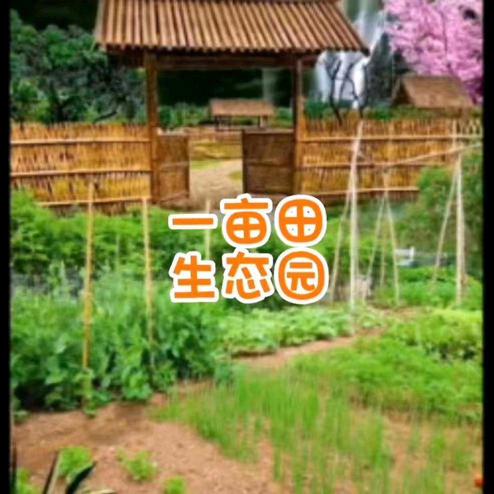 共享农庄～豫宁